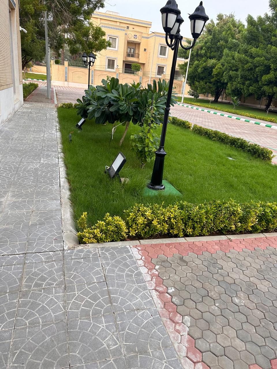 Gallery Image 11