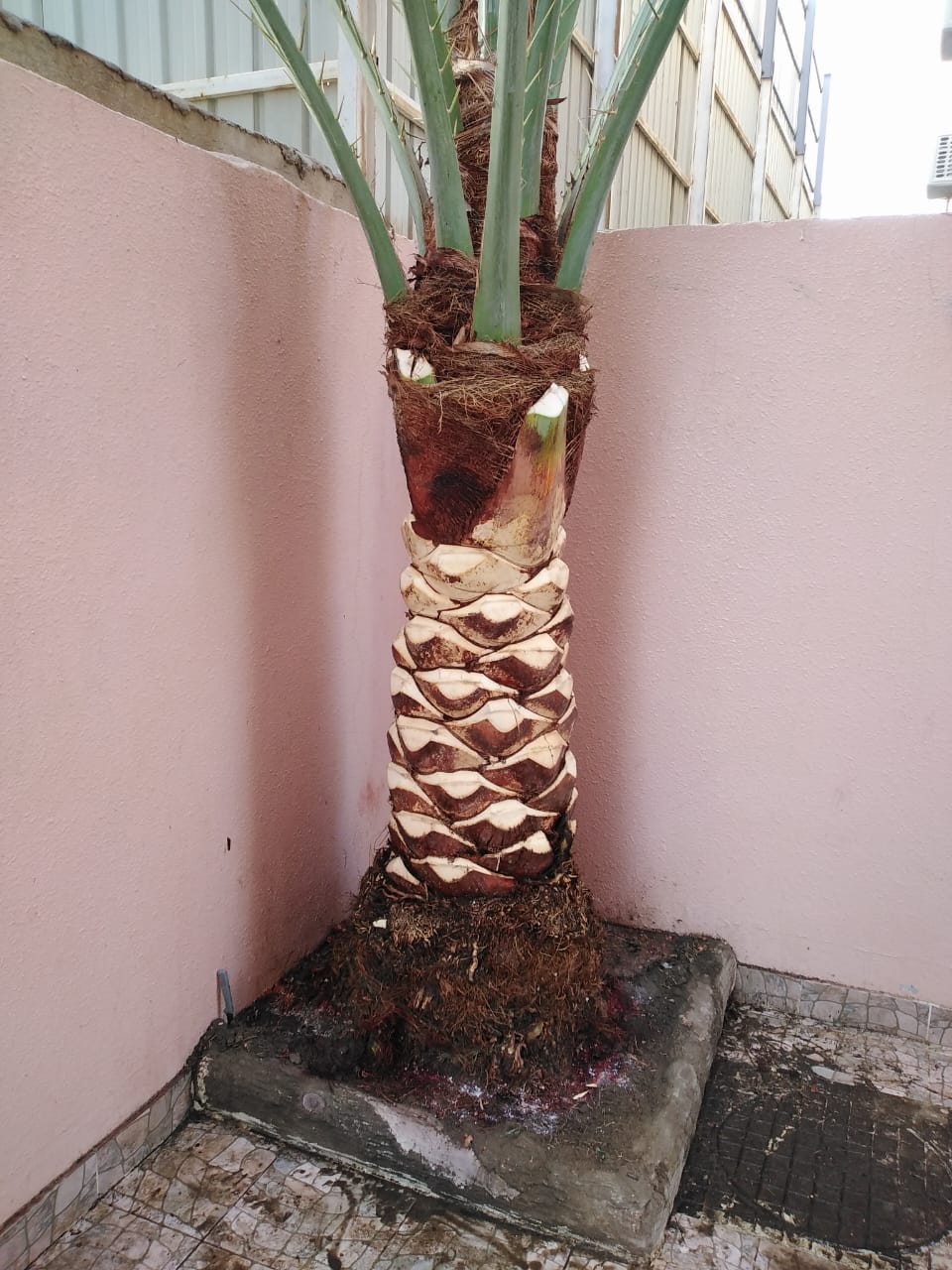 Gallery Image 8