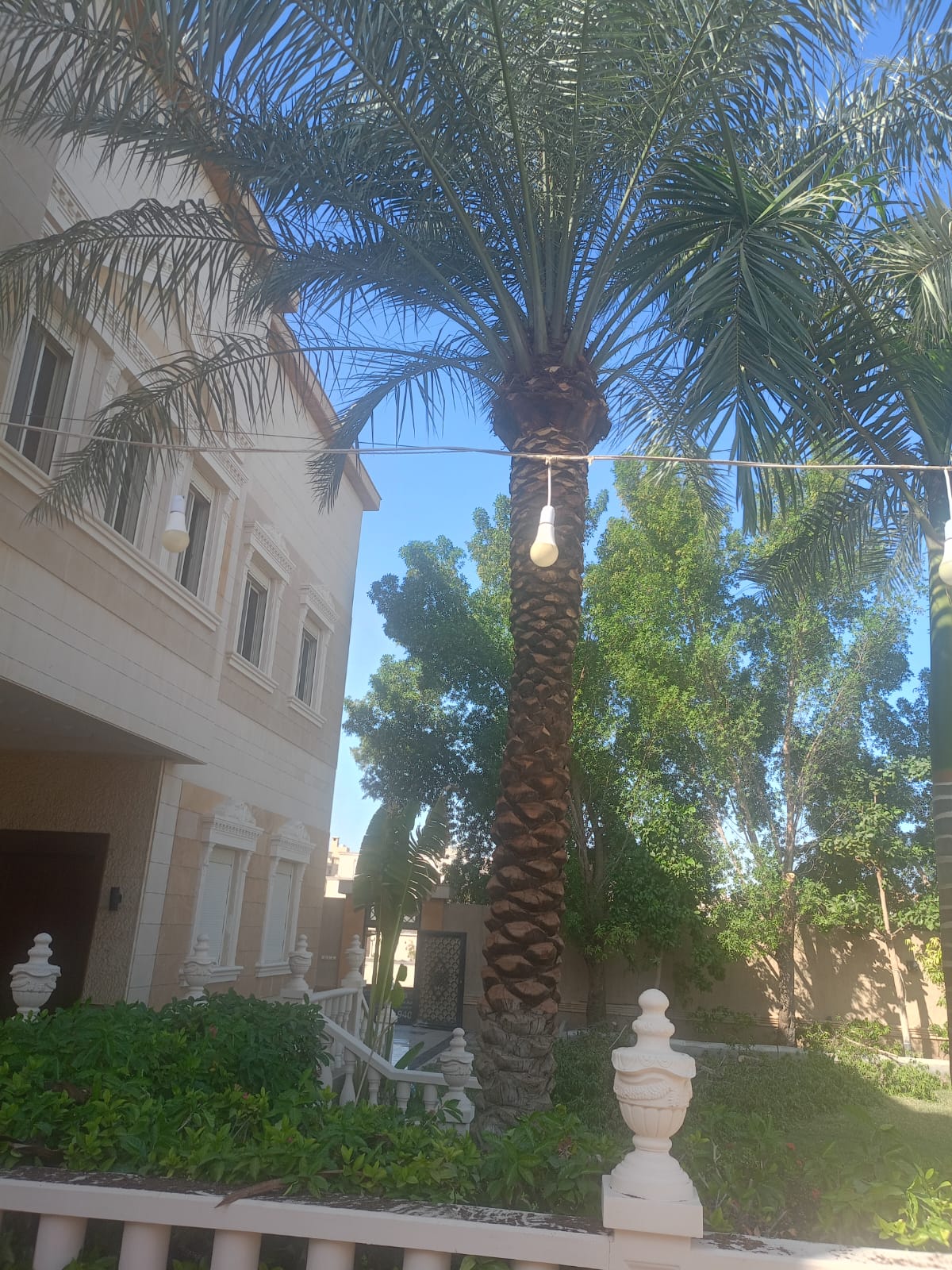 Gallery Image 13